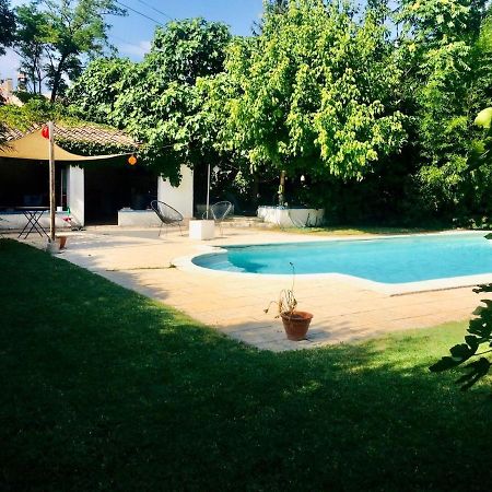 Studio Independant Terrasse Piscine 亞維農 外观 照片